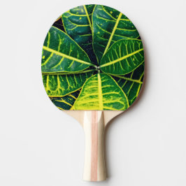 Raquete De Ping Pong Folhas verdes