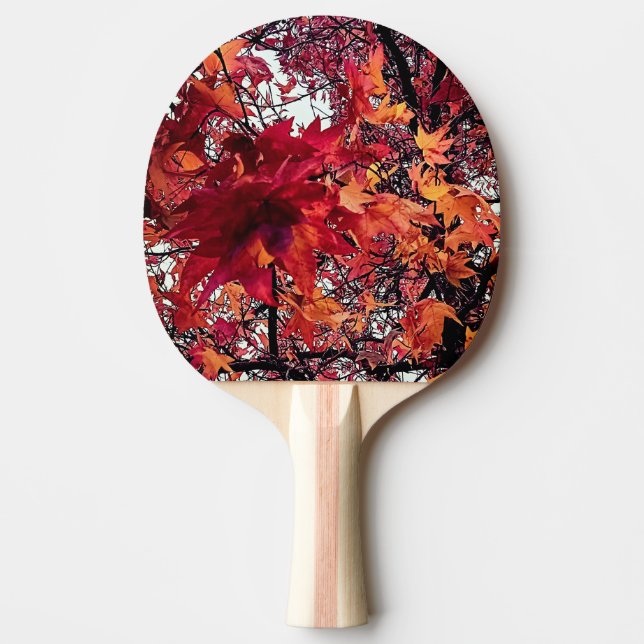 Raquete De Ping Pong Folhas vermelhas e laranja (Frente)