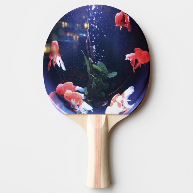 Raquete De Ping Pong Foto da tigela de peixe (Frente)