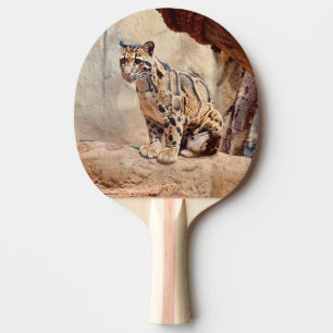Raquete De Ping Pong foto de leopardo nebuloso natureza vida selvagem e
