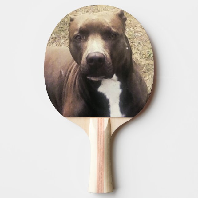 Raquete De Ping Pong Foto Personalizada De Pet De Cachorro Pit Bull (Frente)