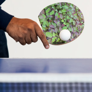 Raquete De Ping Pong Fotografia de Folhas Vermelhas e Verdes