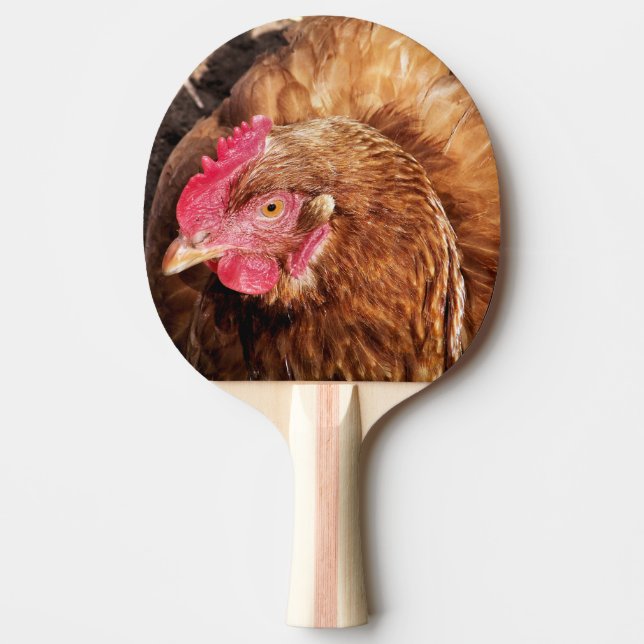 RAQUETE DE PING PONG FRANGO CUTO (Frente)