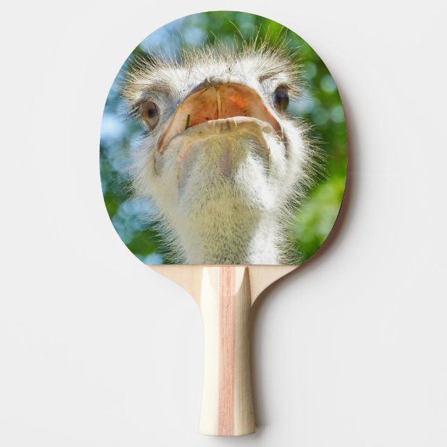 Raquete De Ping Pong Funny Ostrich Animal Photo (Frente)