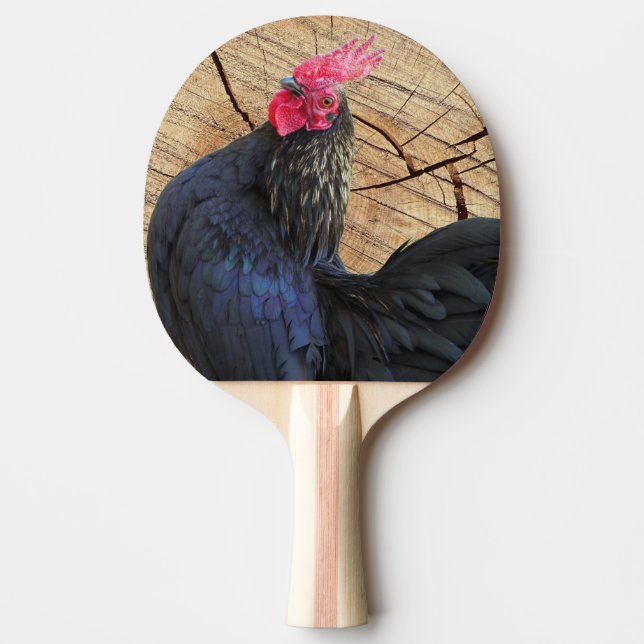 Raquete De Ping Pong Galo Preto (Frente)