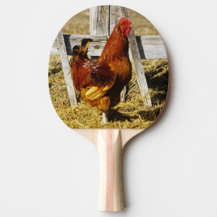 Raquete De Ping Pong Galo Vermelho de Rhode Island