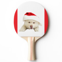 Gatinhos de Natal bonitos e Arte de Linha do Coraç