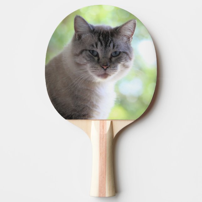Raquete De Ping Pong Gato (Frente)