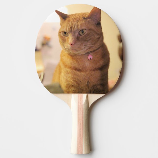 Raquete De Ping Pong Gato (Frente)