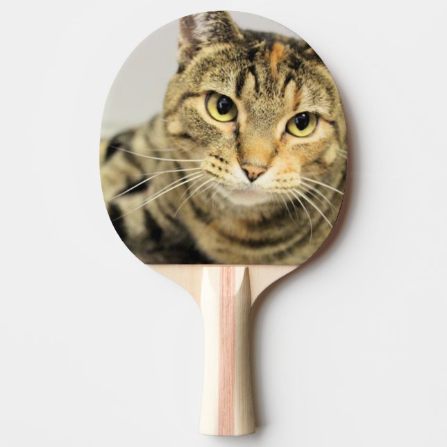 Raquete De Ping Pong Gato (Frente)