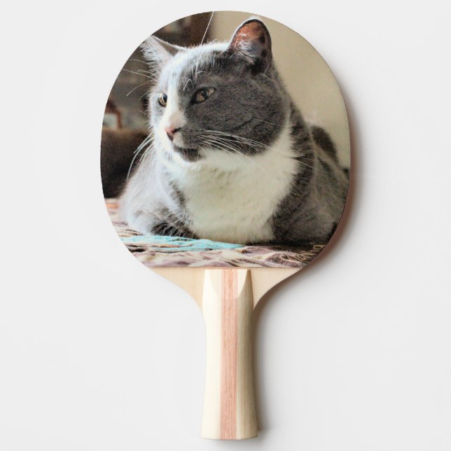 Raquete De Ping Pong Gato (Frente)