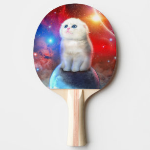 Raquete De Ping Pong Meme do gato - gato engraçado - memes