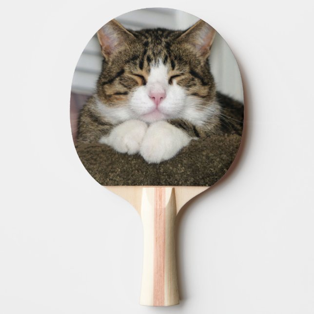Raquete De Ping Pong Gato Cinto (Frente)