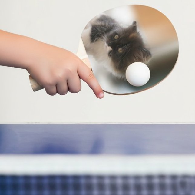 Raquete De Ping Pong Gato Cinto (Fluffy Calico Kitten Photo Cute Ping Pong Paddle
)