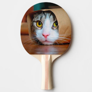 Raquete De Ping Pong Gato embrulhado num papel marrom
