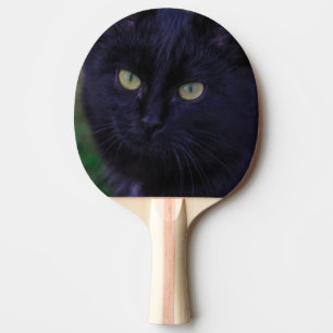 Raquete De Ping Pong Gato Preto Cachorro Gato Gatinho Amarelo