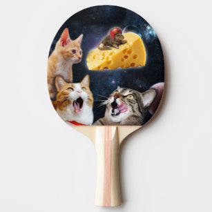 Raquete De Ping Pong Meme do gato - gato engraçado - memes