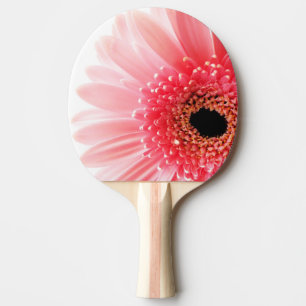 Raquete De Ping Pong Gerbera Daisy Poster