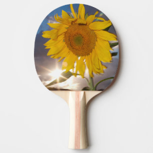 Raquete De Ping Pong Girassol híbrido soprando ao vento ao anoitecer