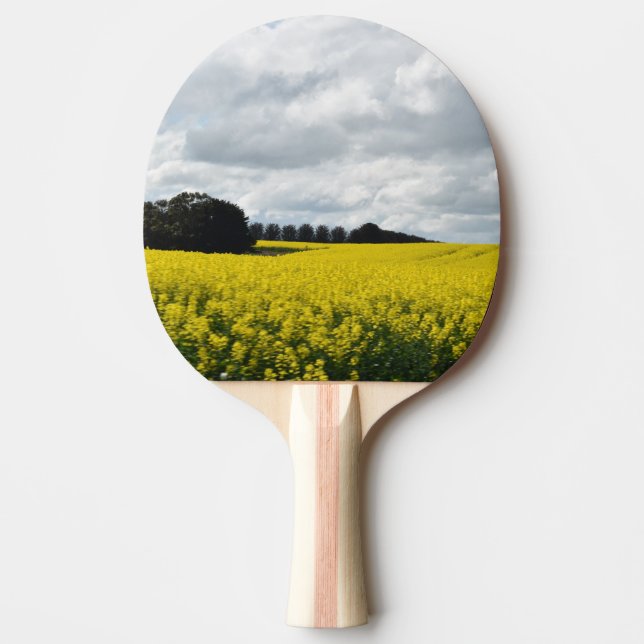 Raquete De Ping Pong Golden Waves of Streatham (Frente)