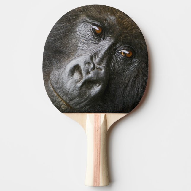 Raquete De Ping Pong Gorila-montês-fêmea (Frente)