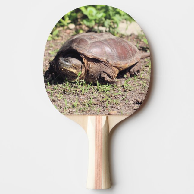 Raquete De Ping Pong Grande cara (Frente)