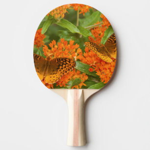 Raquete De Ping Pong Grandes Fritilárias Manchadas em Asclepia Tuberosa