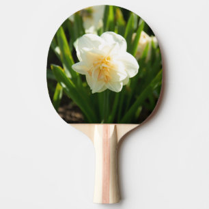 Raquete De Ping Pong Grandes narcisos brancos em um dia de primavera 
