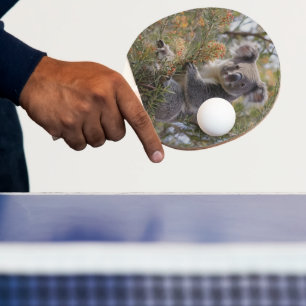 Raquete De Ping Pong Grevillea Koala Bear