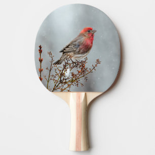 Raquete De Ping Pong House Finch in Snow - Foto original