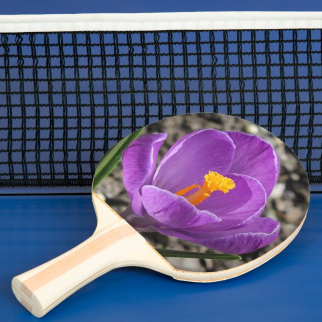 Raquete De Ping Pong Impressão primavera Purple Crocus Flower 2-Sided (Insitu)