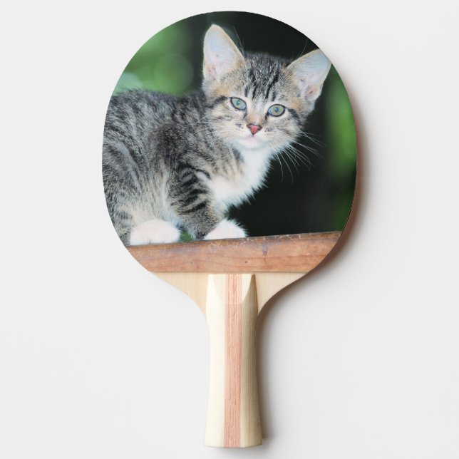 Raquete De Ping Pong Kitten (Frente)