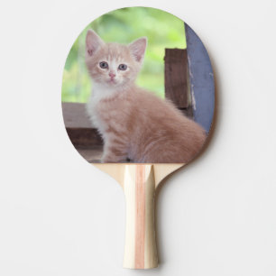 Raquete De Ping Pong Kitten
