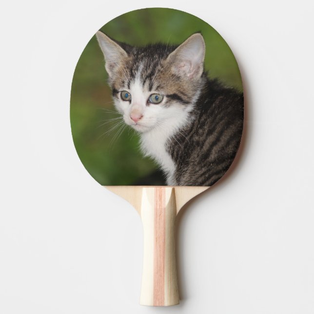 Raquete De Ping Pong Kitten (Frente)