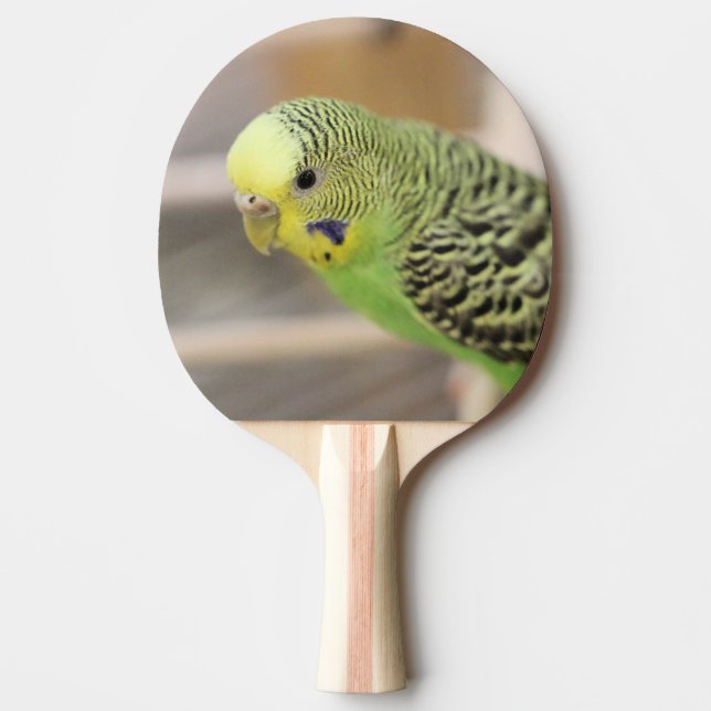 Raquete De Ping Pong Kiwi (Frente)