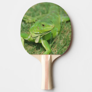 Raquete De Ping Pong Lagarto verde do rastejamento