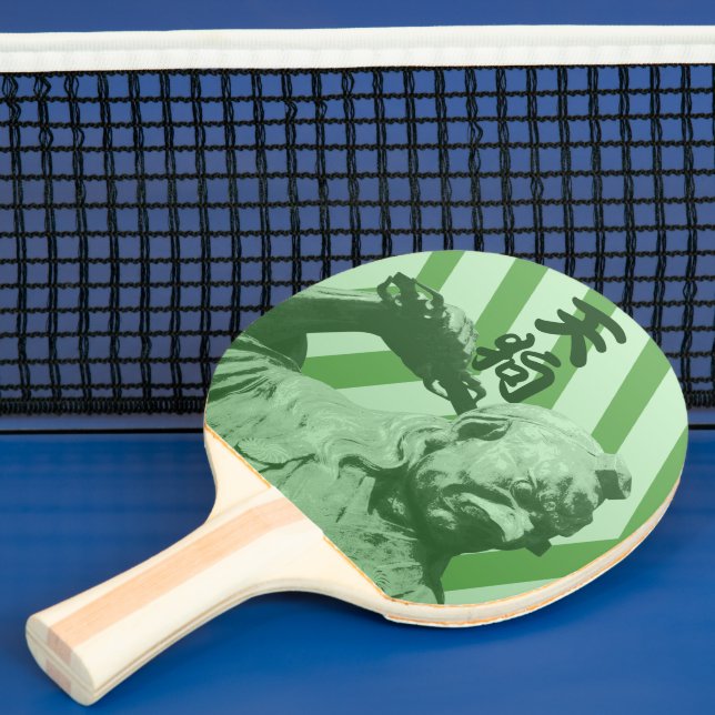 Raquete De Ping Pong Legal Corw Tengu Japonês (Insitu)