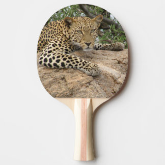 Raquete De Ping Pong Leopardo em uma pá de Pong do sibilo da rocha
