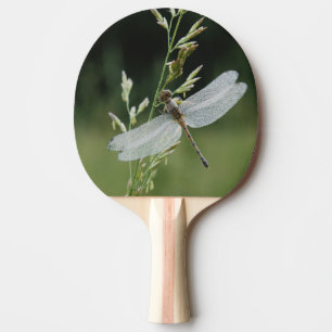 Raquete De Ping Pong Libélula Darner coberta de orvalho