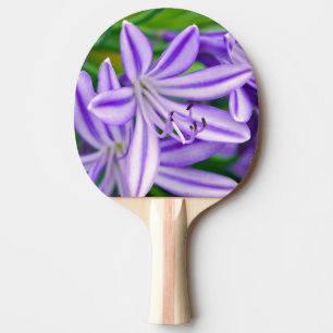 Raquete De Ping Pong Lily Africana Exótica