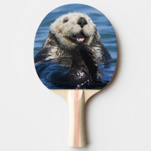 Raquete De Ping Pong Lontra marinha da Califórnia Enhydra lutris) se ar