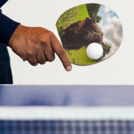 Raquete De Ping Pong Luz verde do campo verde da vaca em lata negra