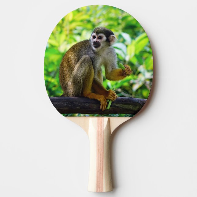 Raquete De Ping Pong Macaco de esquilo bonito (Frente)