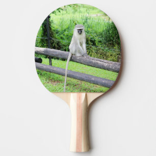 Raquete De Ping Pong Macaco Selvagem