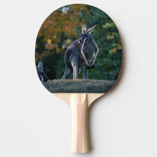 Raquete De Ping Pong Majexpressa Kangaroo