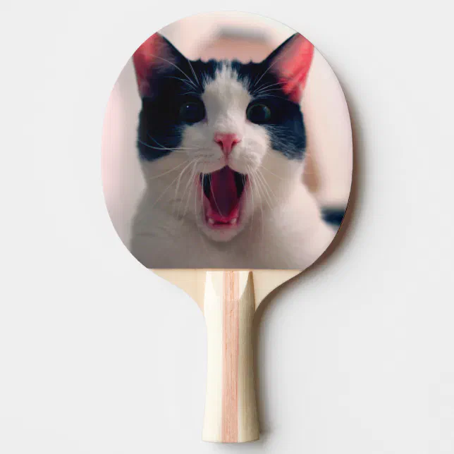 Raquete De Ping Pong Meme do gato - gato engraçado - memes