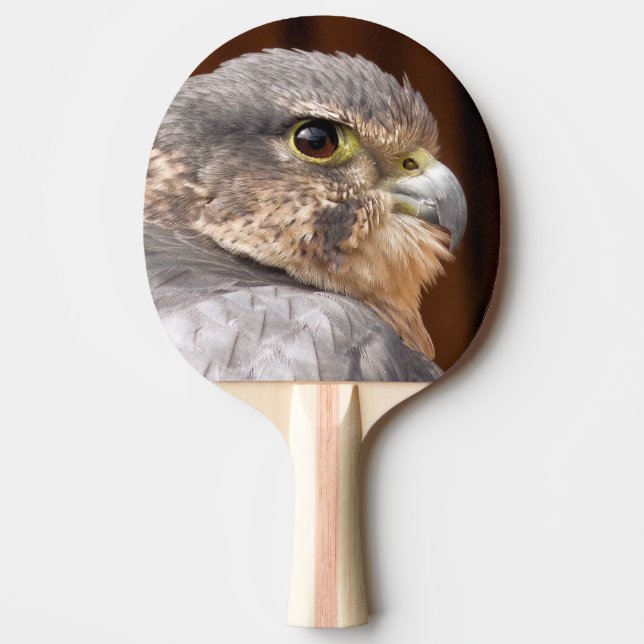 RAQUETE DE PING PONG MERLIN FALCON BIRD OF PREY (Frente)