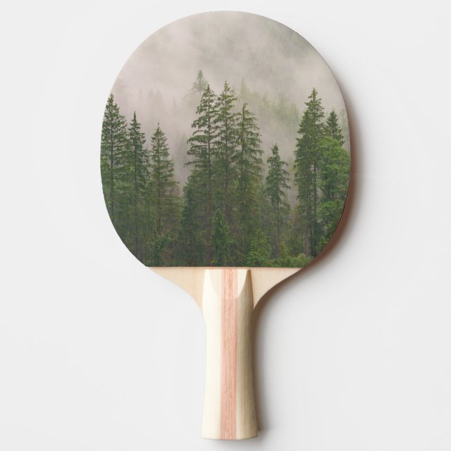 Raquete De Ping Pong Misty Foggy Forest Trees (Frente)
