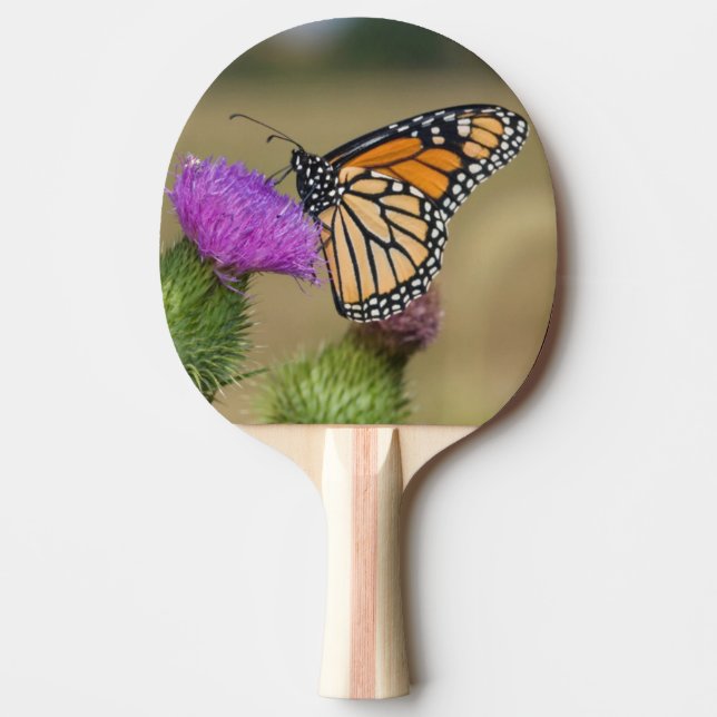 Raquete De Ping Pong Monarca no pasto Thistle Prairie Ridge (Frente)