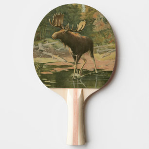 Raquete De Ping Pong Moose Caminhando na Água